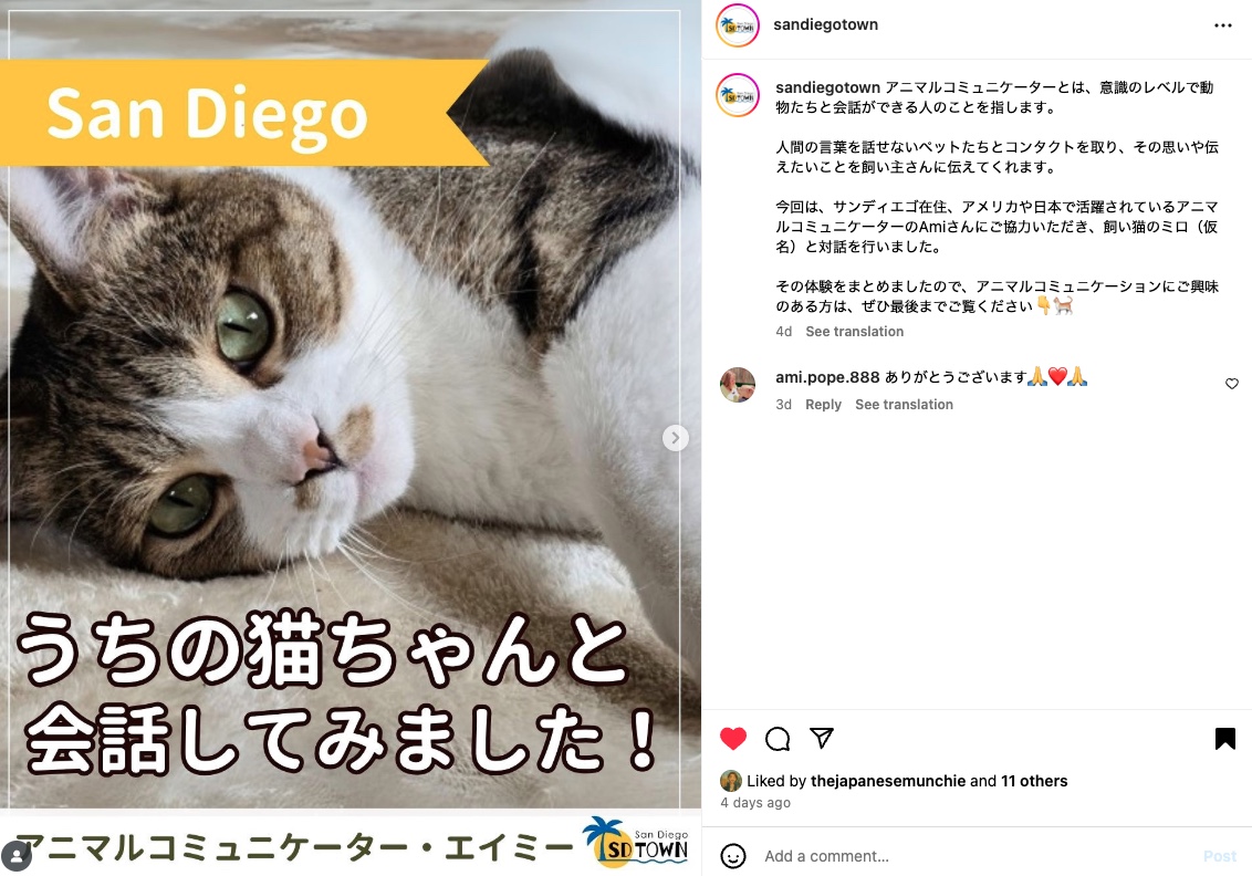 エイミーアニマルコミュニケーター
