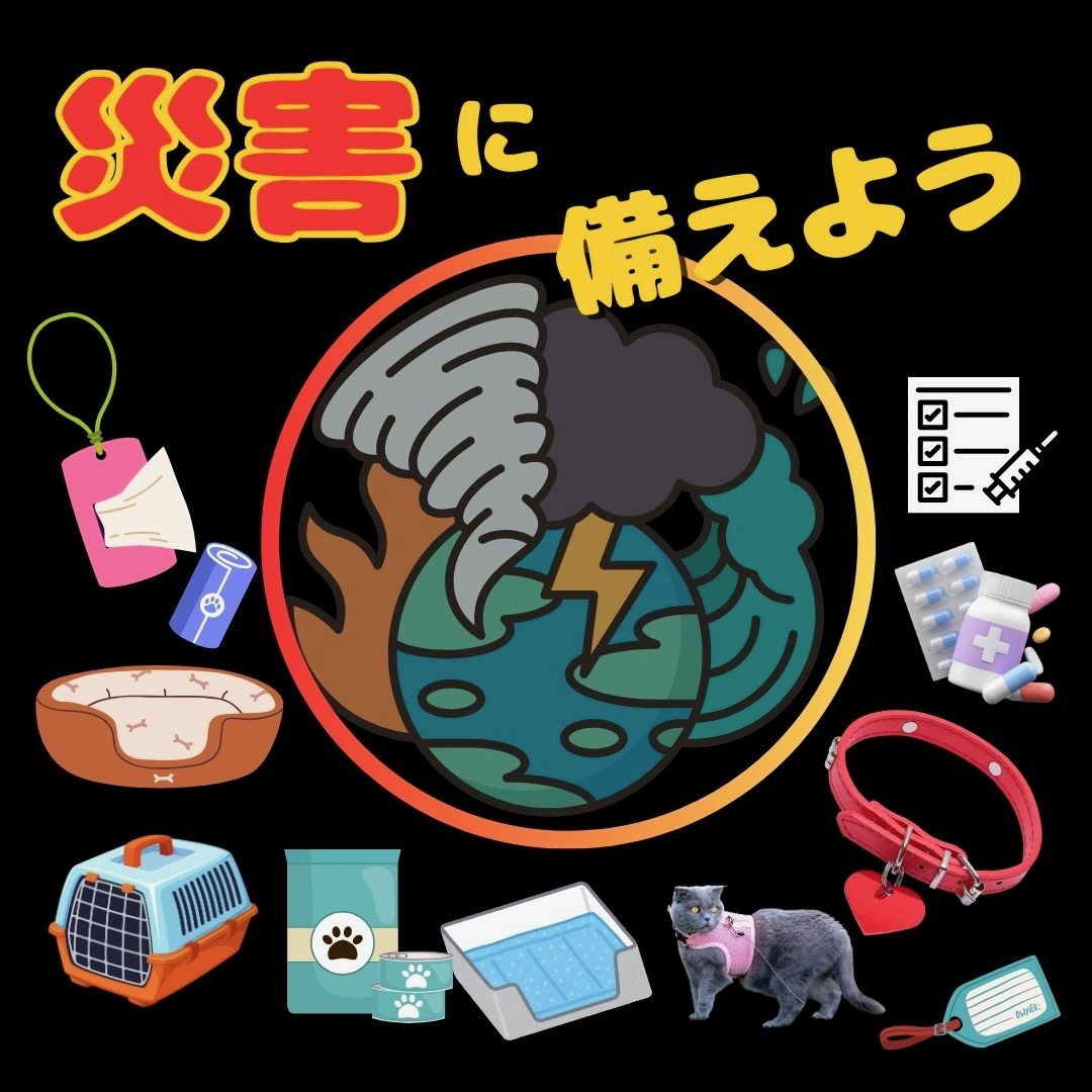 エイミーアニマルコミュニケーター