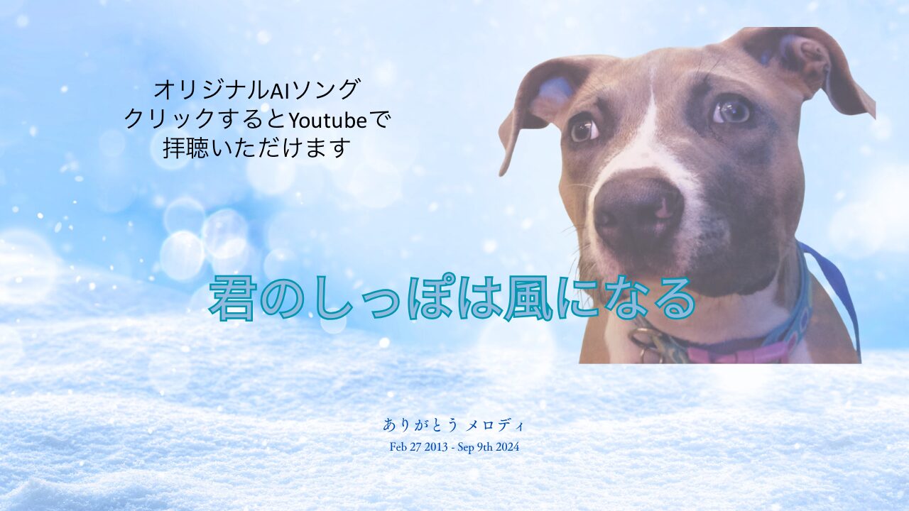 エイミーアニマルコミュニケーター
