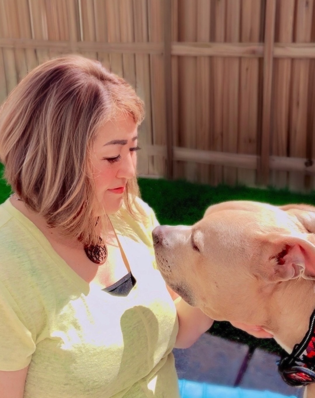 エイミーアニマルコミュニケーター エイミーアニマルコミュニケーター