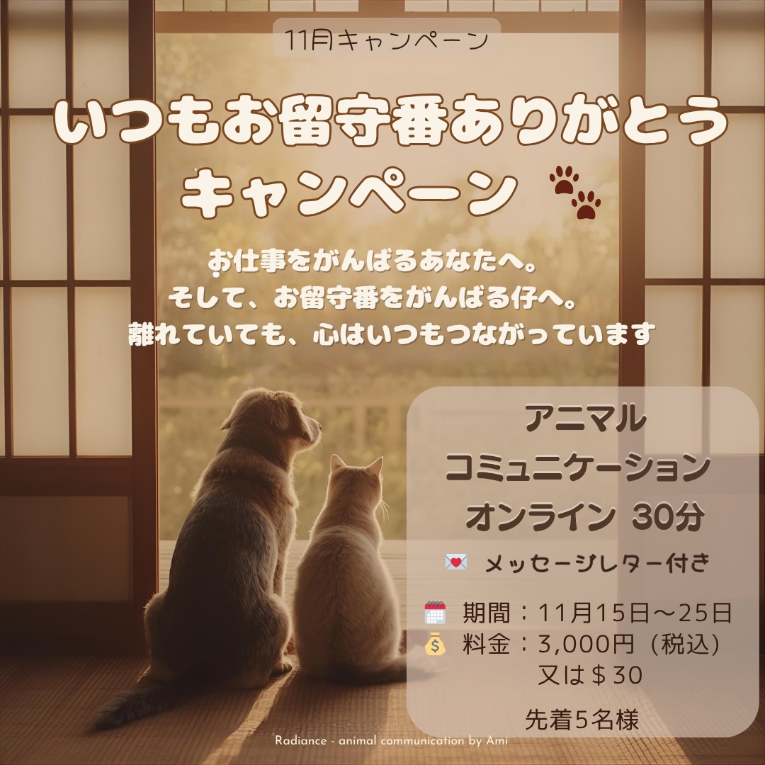 2025 キャンペーン - 14 アニマルコミュニケーター エイミー