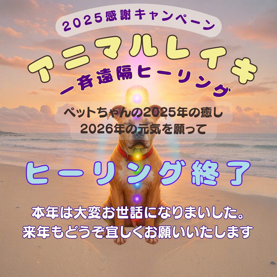 エイミーアニマルコミュニケーター