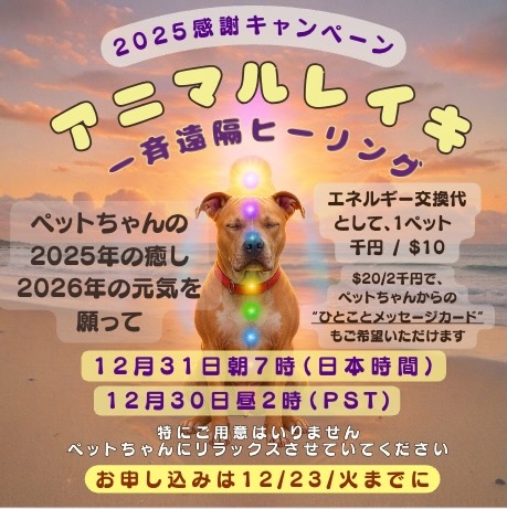 エイミーアニマルコミュニケーター