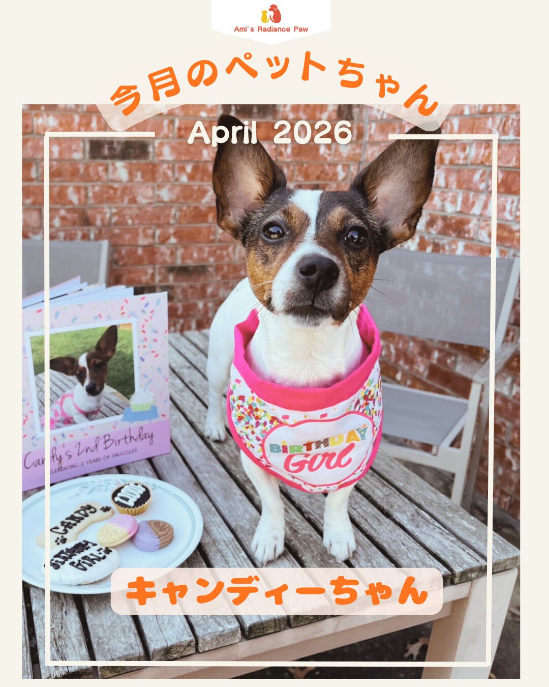 アニマルコミュニケーターエイミー