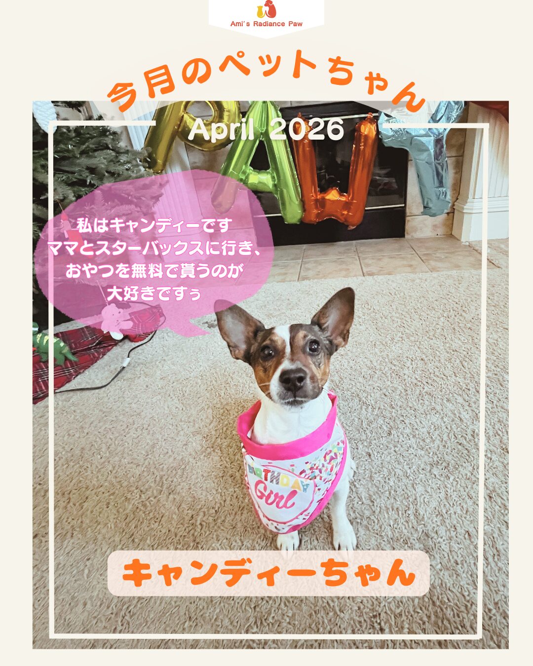 アニマルコミュニケーターエイミー