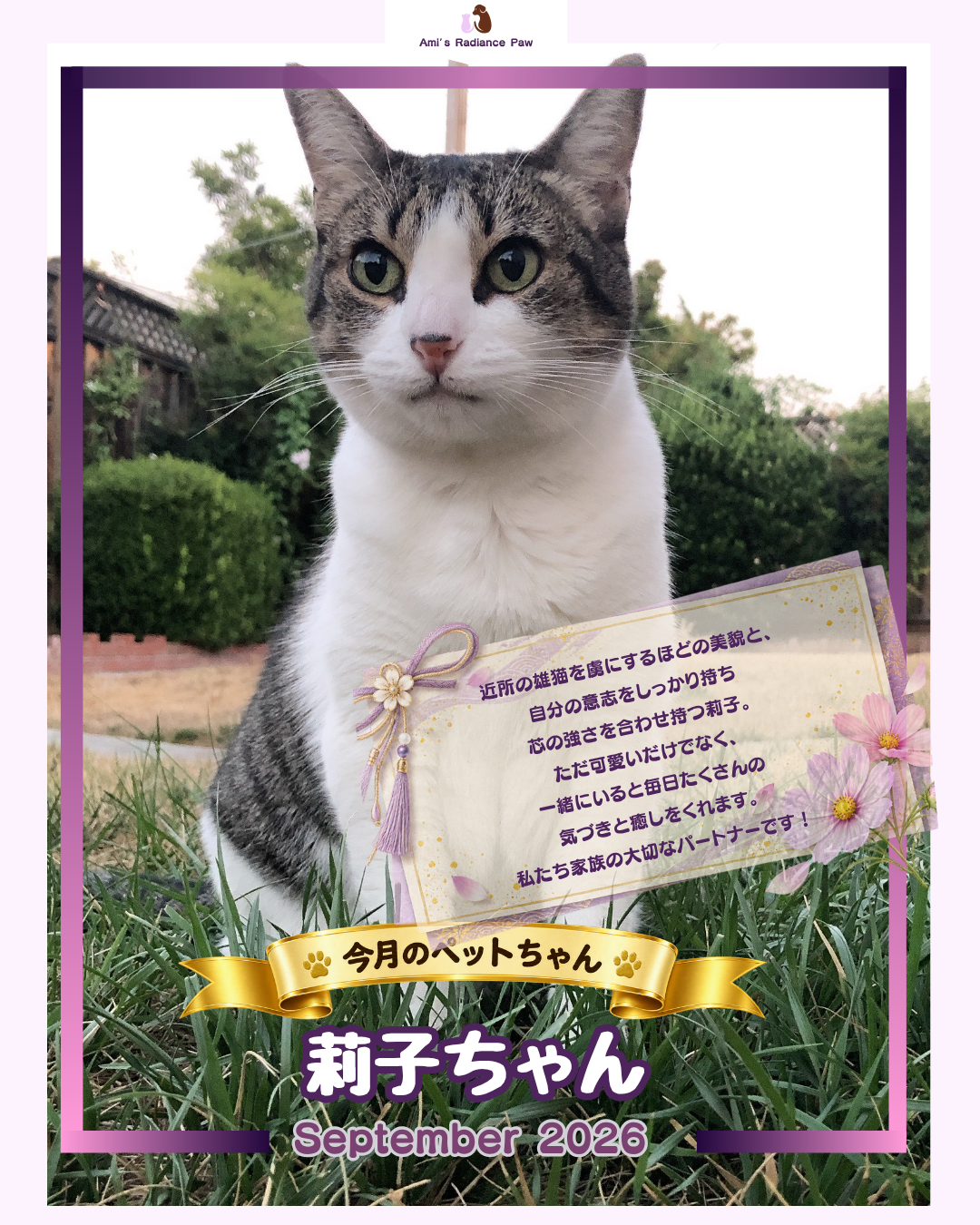 アニマルコミュニケーターエイミー