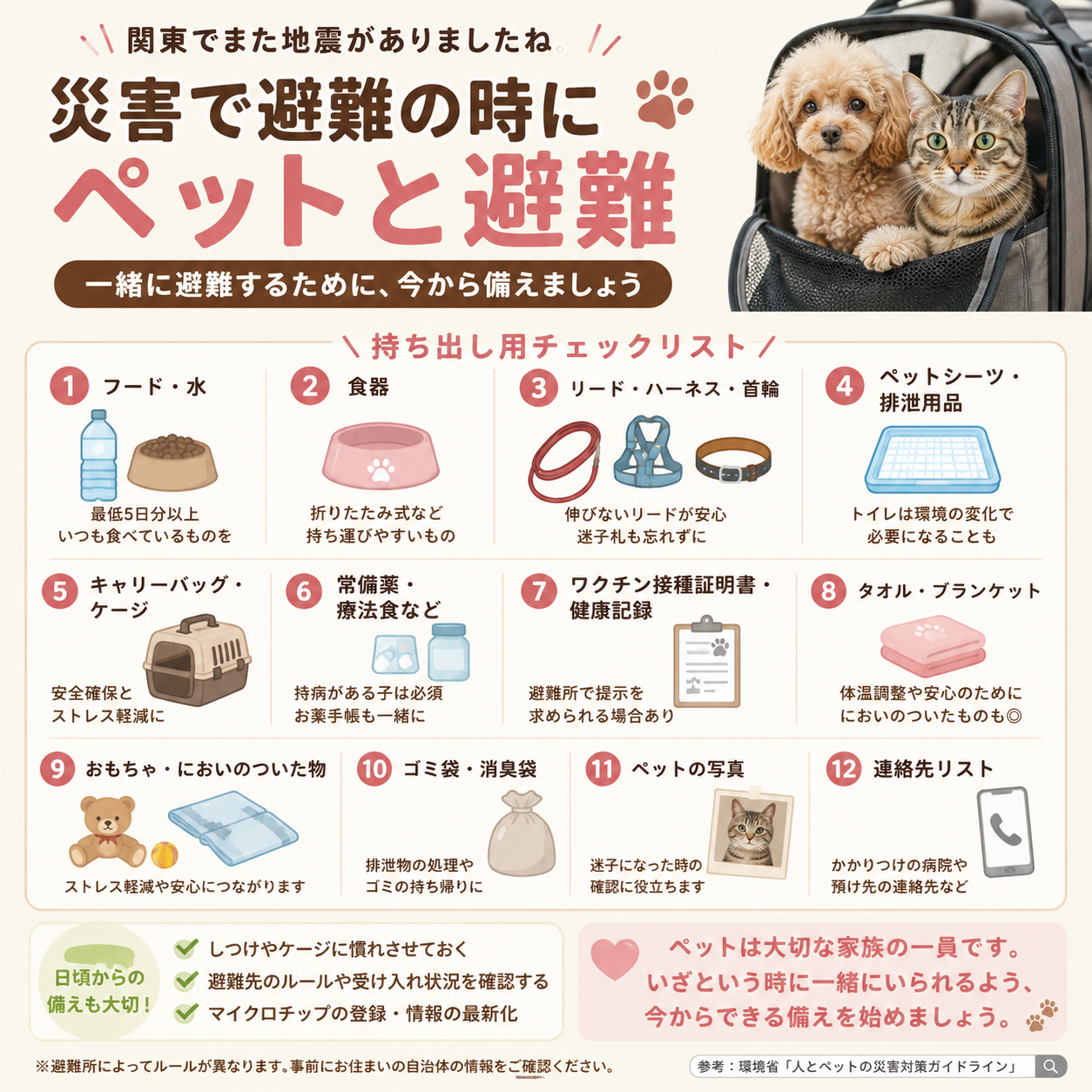 アニマルコミュニケーターエイミー